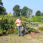 breed overzicht met tuinders